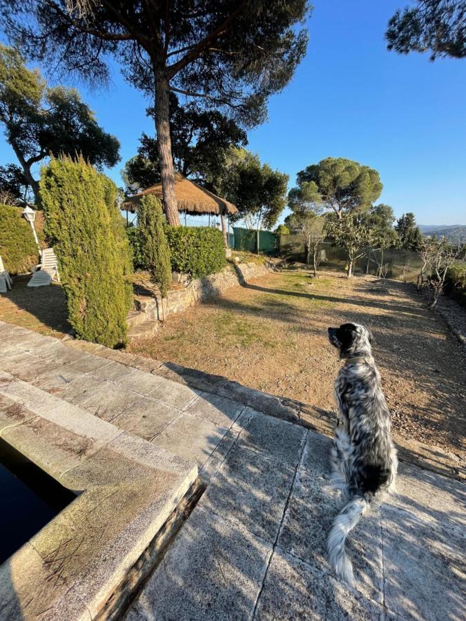 Villa Herlinda Costa Brava - With Swiming Pool Massanet De La Selva 外观 照片