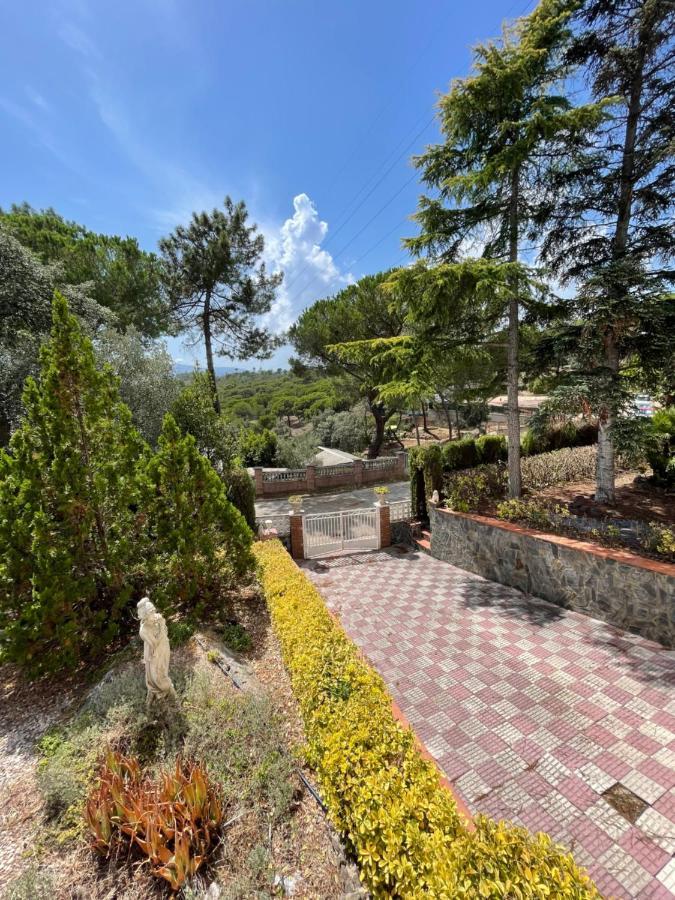 Villa Herlinda Costa Brava - With Swiming Pool Massanet De La Selva 外观 照片