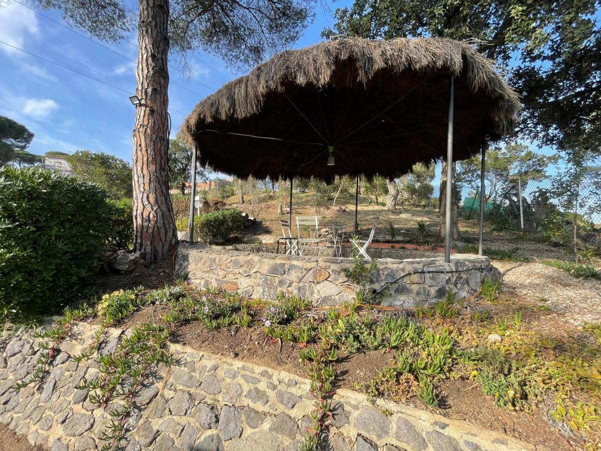 Villa Herlinda Costa Brava - With Swiming Pool Massanet De La Selva 外观 照片